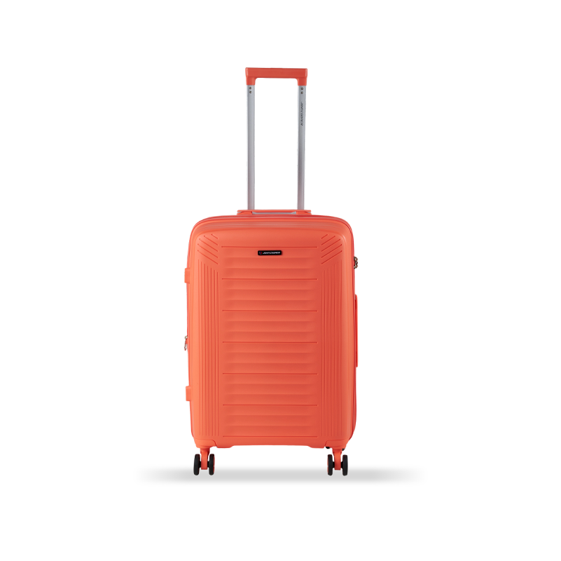 Equipaje de PP10   Equipaje de PP10