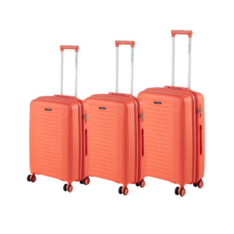 Equipaje de PP10   Equipaje de PP10