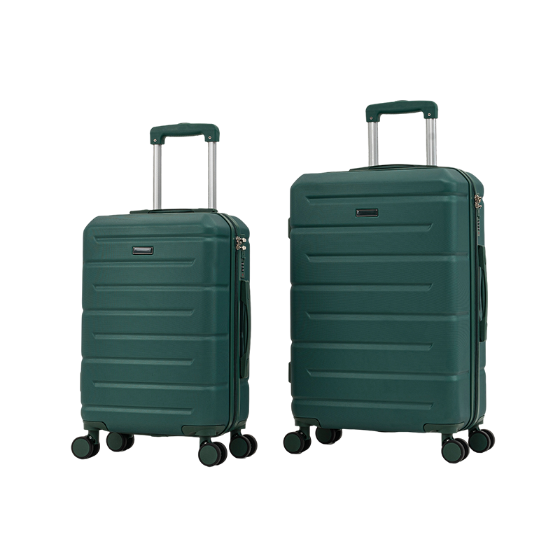 250203 equipaje de ABS
