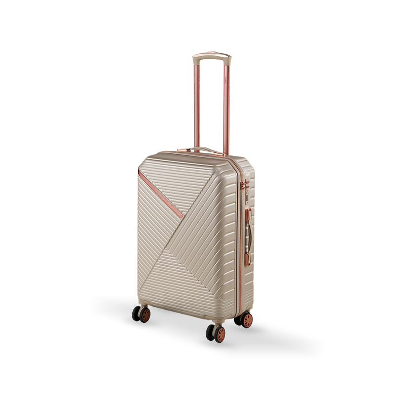 241103 equipaje ABS